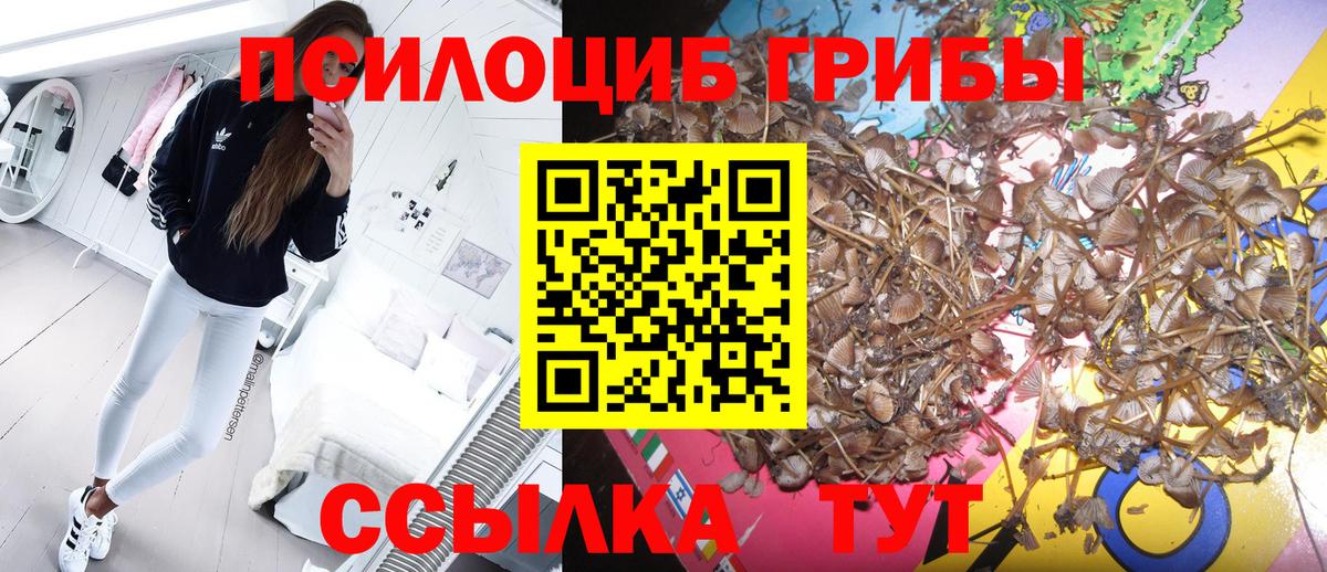 Псилоцибиновые грибы GOLDEN TEACHER  Вход с VPN  Семилуки 
